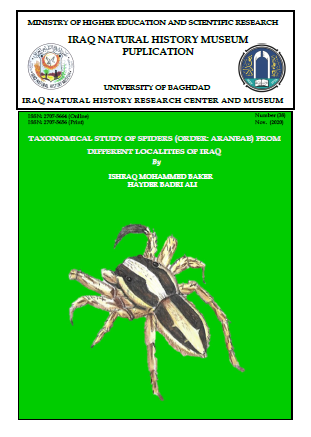 					View Vol. 38 (2020): Taxonomical Study of Spiders (Order: Araneae) from Different Localities of Iraq
				